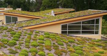 商业生活绿色屋顶在海伦舒勒自然中心