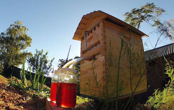 Flow Frames: A father and son revolutionize beekeeping and put honey o