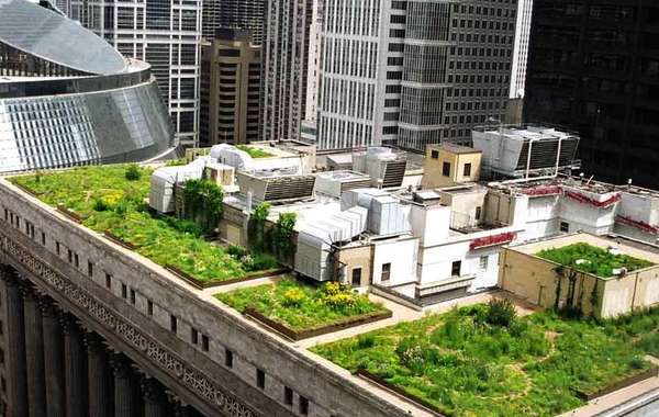 芝加哥绿色屋顶