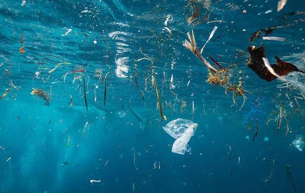 为什么回收塑料需要立法有效