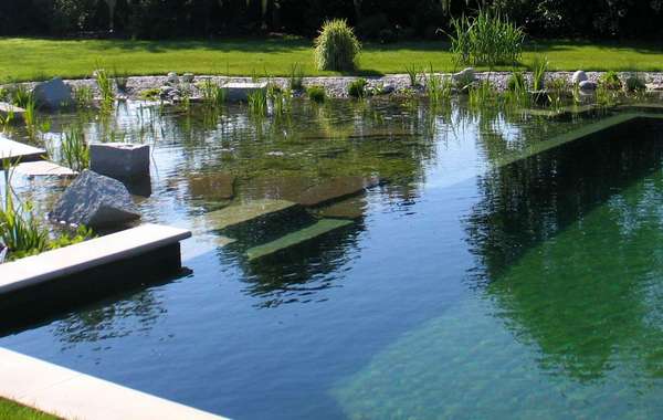 天然游泳池设计DIY (NSP)生态家园