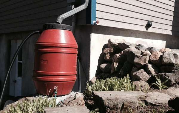 雨水管理和雨水收集雨桶