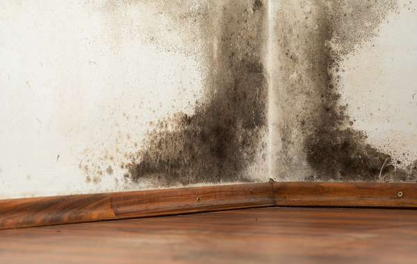 在有空调的房子里，聚气屏障会导致霉菌和腐烂